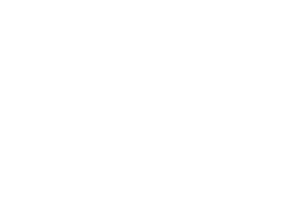 Allie's Party Equipment Rental